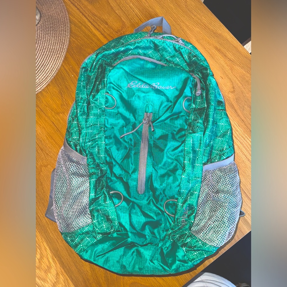 Eddie Bauer rippac backpack